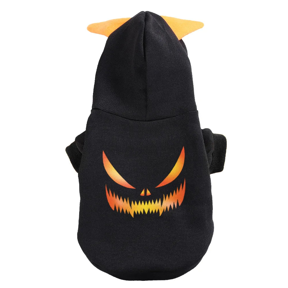 Halloween pet costumes