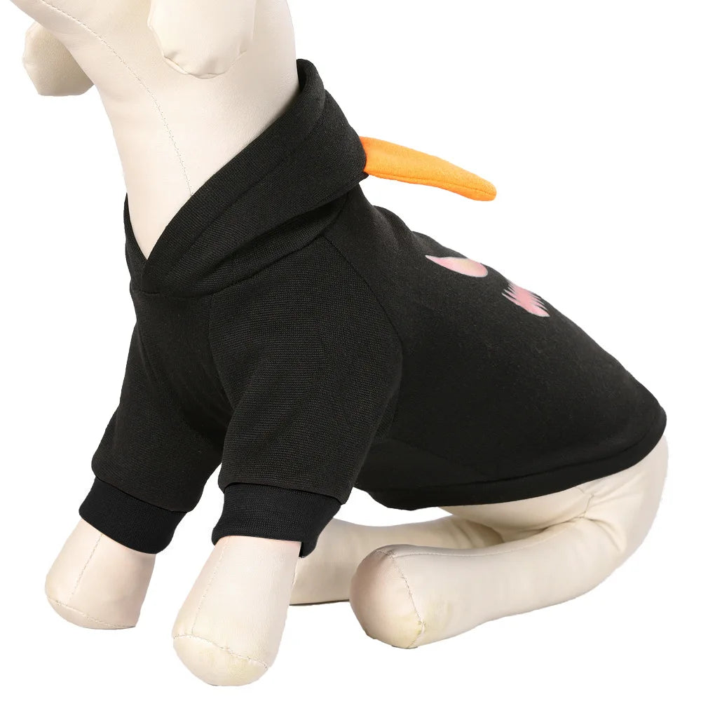 Halloween pet costumes