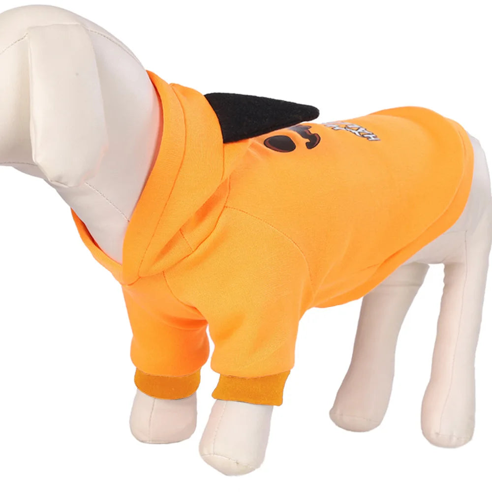 Halloween pet costumes